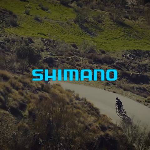 Shimano