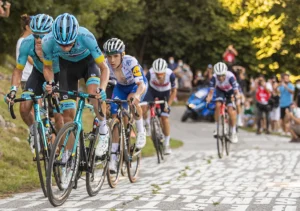 Which are the best bikes companies in the world